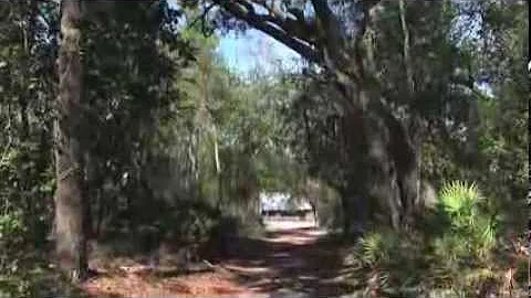The History of the Chesser Island Homestead at Oke...