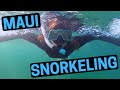 Snorkeling and trying local Hawaiian Food in Maui!!