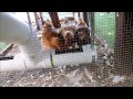 Automatic Chicken Feeder