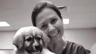 PAWS in the Community