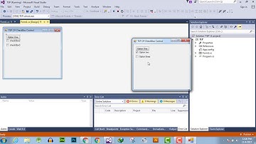 054 - B - Change C# CheckBox Appearance