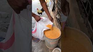 Rutinitas kecil seorang peternak ayam