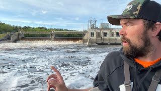 I Did Not Want To Catch This Monster Fish! (FISHING GIANT SPILLWAY)