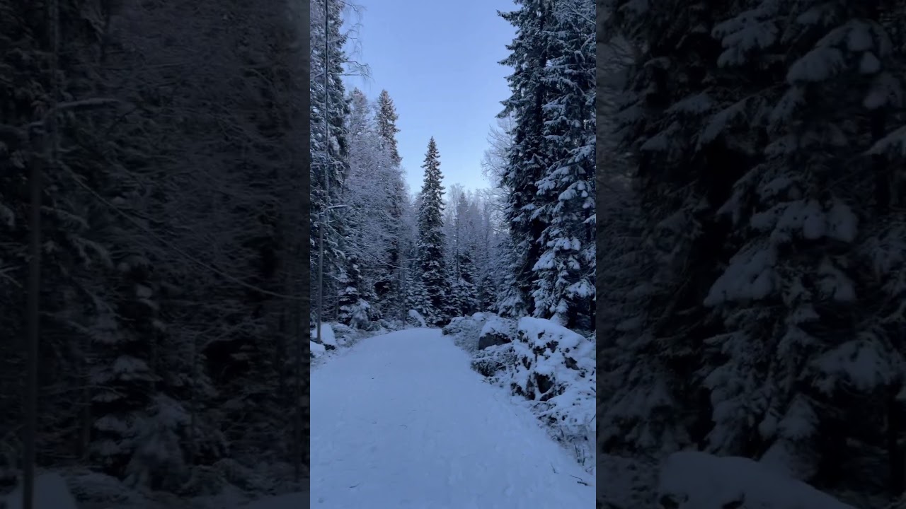 4 января 2026 г.