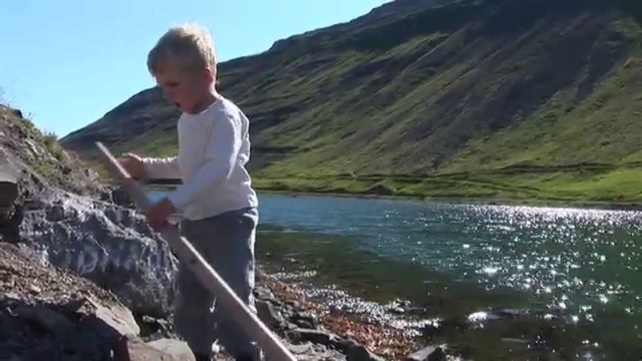 Josef Dagur og fiskarnir vid Sudureyri.