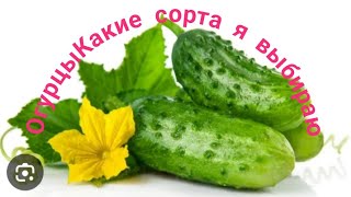 Обзор семян огурцов🥒От чего не откажусь 😀,а что не впечатлило😉