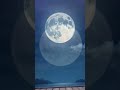 penjelasan di bawah ⬇️👇#lewatberanda #space #foryou #moon #fypp #fypシ #viral #shortvideo #astronomy