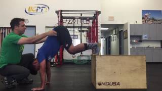 Famous DNS Modified Bear Position | Supple Performance Therapy Profile