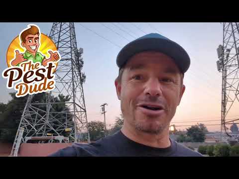 How the pros handle a ground squirrel problem effectively!