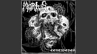 Centipedes (Single Version )