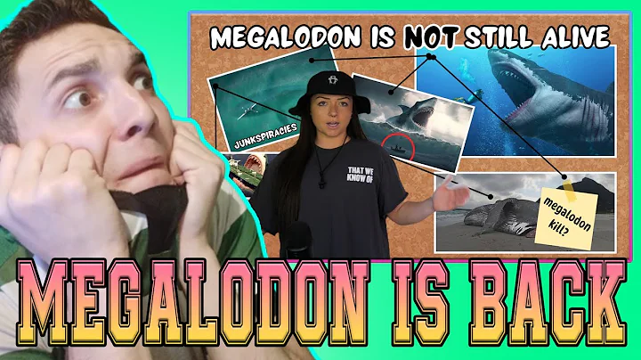 JUNKSPIRACIES: THE MEGALADON IS (NOT) STILL ALIVE | LINDSAY NIKOLE | **REACTION**