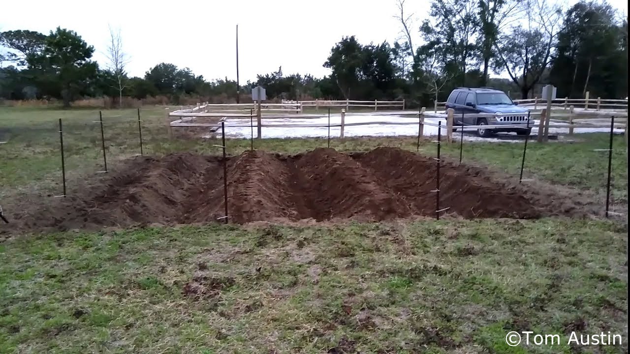 Sea Island Cotton Update 4 Beds & Alleys YouTube