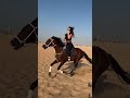 ريم بنات طرابلس