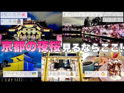 【桜の名所】二条城のライトアップが綺麗すぎた。【京都Vlog】