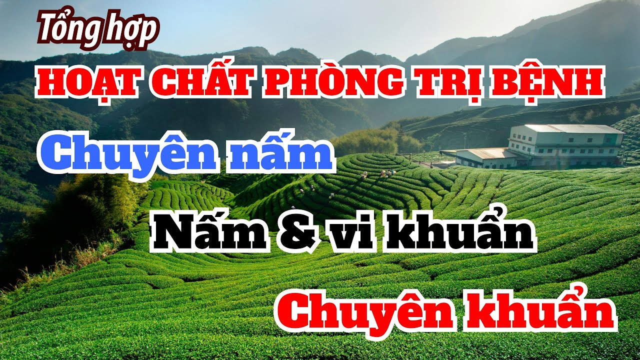 Tổng hợp hoạt chất quản lý bệnh phổ biến | Chuyên nấm | Cả nấm và vi khuẩn | Chuyên vi khuẩn