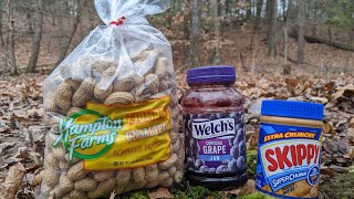 Peanut Butter and Jelly in the Woods [Trail Camera] - And a Pile of Peanuts!