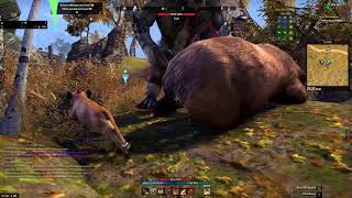 Got bugged and could play as non combat pet in ESO