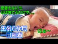 生後6ヶ月赤ちゃんの1日に密着