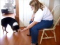 Teaching and Alert Signal with Shaping - Wave Teaching and Alert Signal with Shaping - Wave