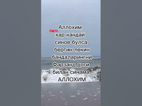АССАЛОМУ АЛЕЙКУМ - YouTube