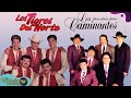 LOS TIGRES DEL NORTE Y LOS CAMINANTES - RANCHERAS - 1 HORA DE MUSICA