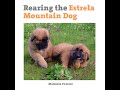 Rearing the Estrela Mountain Dog の動画、YouTube動画。