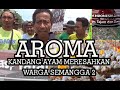 SEMANGGA DUA DIRESAHKAN AROMA KANDANG 