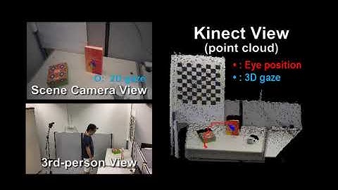 3D gaze tracking for Eye Tracking Glasses.