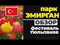 Парк Эмирган в Стамбуле / фестиваль тюльпанов Стамбул / Emirgan park / ОБЗОР /