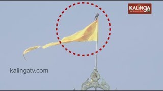 Eagle Spotted Sitting On Patitapaban Bana At Puri Jagannath Temple  Kalinga Tv