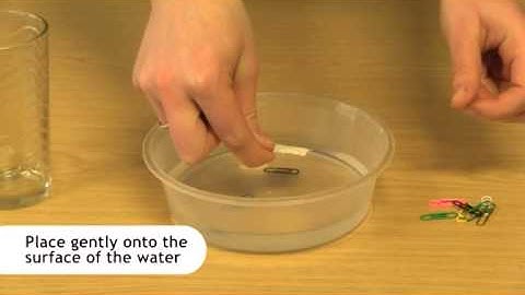 Floating paperclip science demonstration
