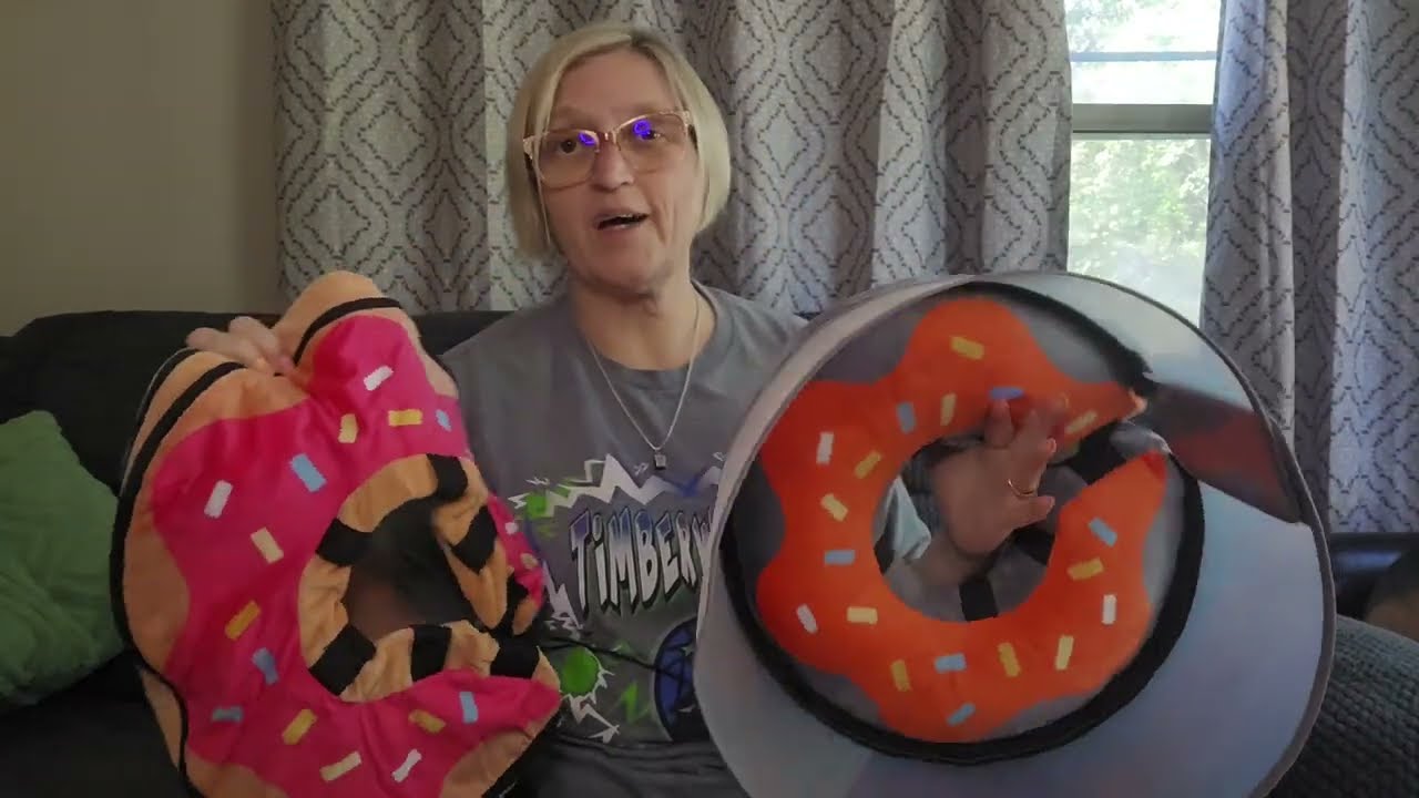 Inflatable dog cone with transparent shield