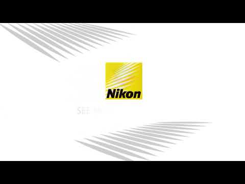 Nikon XT V