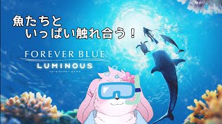 【Forever Blue Luminous】 広い海に潜って癒されます 【＃ケモノVtuber】