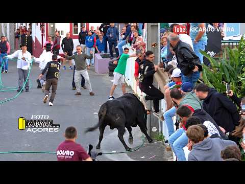 Tourada à corda, ilha Terceira, 2026
