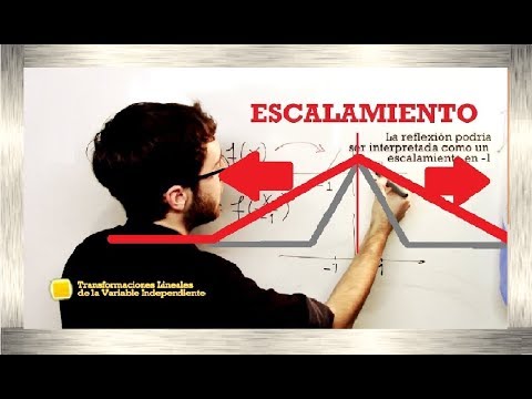 Escalamiento y Reflexión de Señales | El Traductor