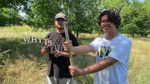 Austin Civilian Conservation Corps (ACCC) :  Pathways to Employment - Forestry