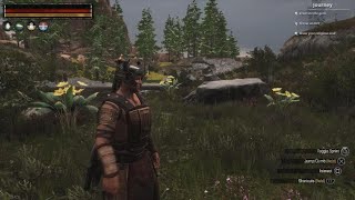 Conan Exiles - Yellow lotus Location