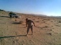 هجيني بني عطيه