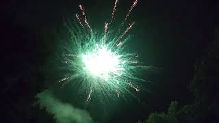 MIAMI VICE FIREWORK 49 SHOT (BANGER!!)