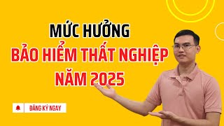 Mức Hưởng Bảo Hiểm Thất Nghiệp Năm 2025 Mới Nhất