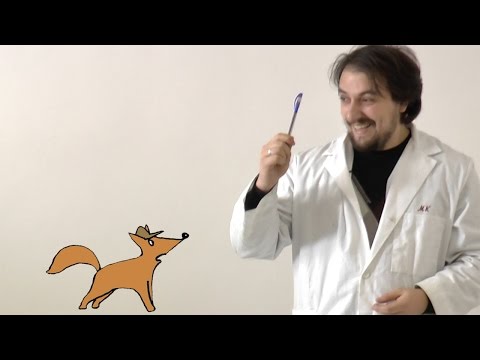 Начала химии. Выпуск 1. Часть 1. Что такое наука?