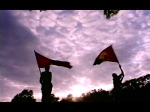Zion Train - Dance Of Life (full video)