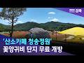 '산소카페 청송정원' 꽃양귀비 단지 무료 개방 / 안동MBC