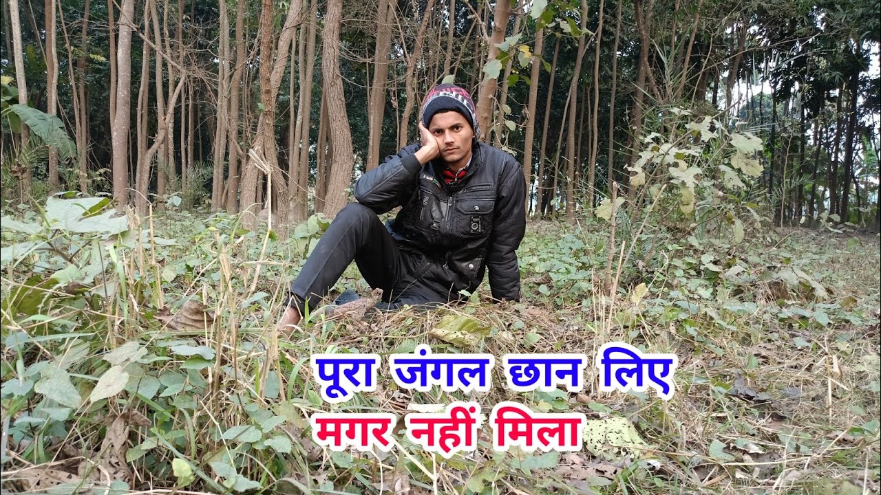 पूरा जंगल छान लिए मगर नहीं मिला | क्या करूं