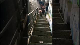 Aman Güzel Yavaş Yürü 😂