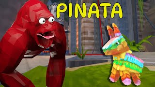 Animal Company Added PINATAS...