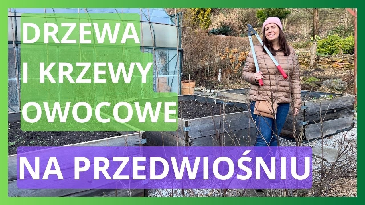Cięcie drzew i krzewów owocowych na przedwiośniu. Jak ciąć porzeczkę?