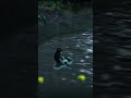 Lego Harry Potter Frog Riding