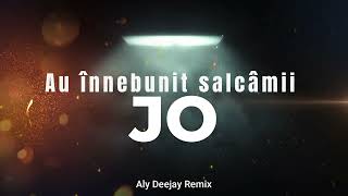 JO - Au înnebunit salcâmii (Aly Deejay Remix)